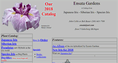 Desktop Screenshot of ensata.com